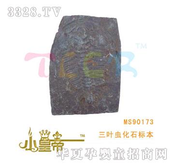 ��(m��ng)�A�A��(m��ng)���~�x��ʯ��(bi��o)��MS90173
