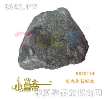 ��(m��ng)�A�A��(m��ng)ؐ����ʯ��(bi��o)��MS90174