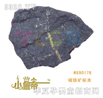 ��A�A�����F�V�˱�MS90178