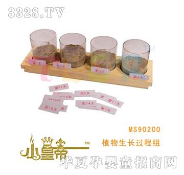 ��A�A��ֲ�����L�^�̽MMS90200