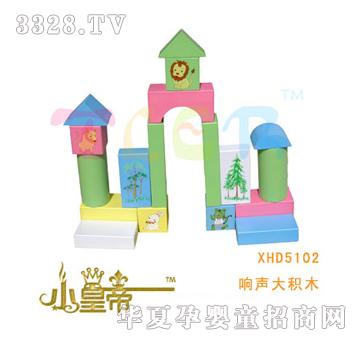 ��A�A�����eľXHD5102