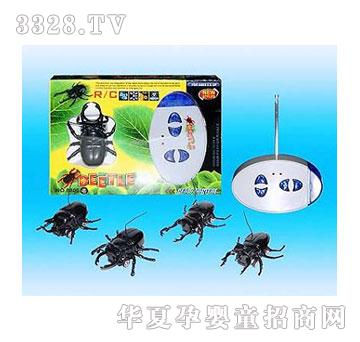 �d��@1921048�b�ؼך��x(ch��ng)