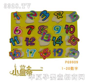 ��A�A��С�ʵ�ƴ�D��1-20����PG9909
