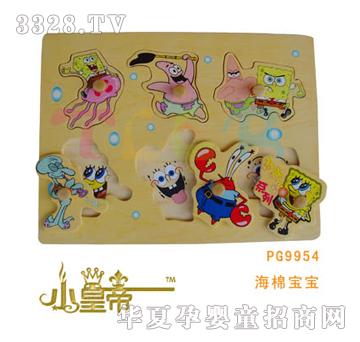 ��A�A�����Dӡƴ�D-���ތ���PG9954