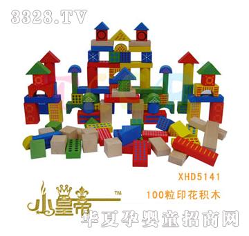 ��A�A��100��ӡ���eľXHD5141