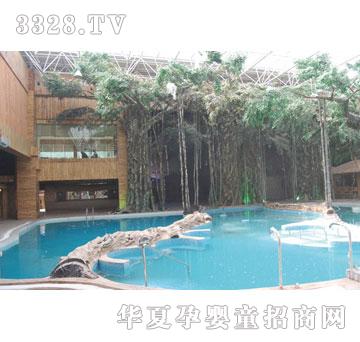 ��ͯ���SPA6