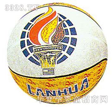 ����M����7#Multi-Colour-Basketball9