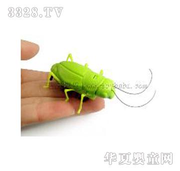 ���S�����f������С��