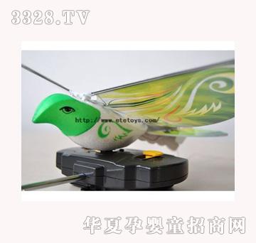 ���v�b���w�B����ֲ�q��