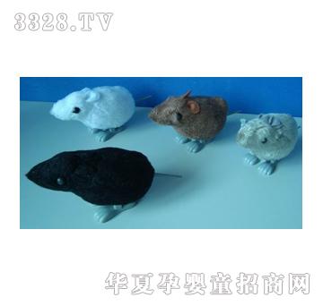 �hʢ�����YS11410003