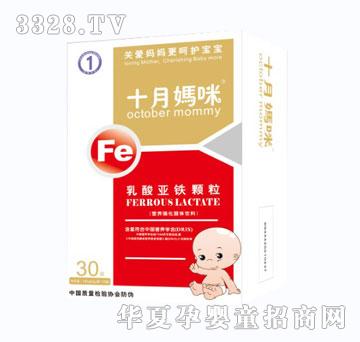 ʮ�����F�I�B�������w���