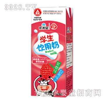 �׵�200ml��ݮ��ζ�W����