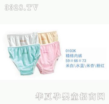 ��ʿ0103K