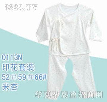 ��ʿ0113N