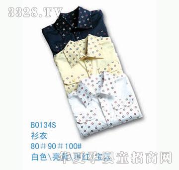 ��ʿB0134S����