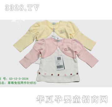 �s�A2012�����G3-12-3-3534