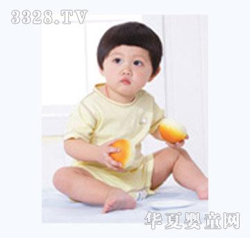 ��֮ľ�������׃��B�w��
