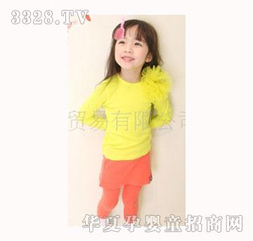 �ɹ�ɫ�L��T��