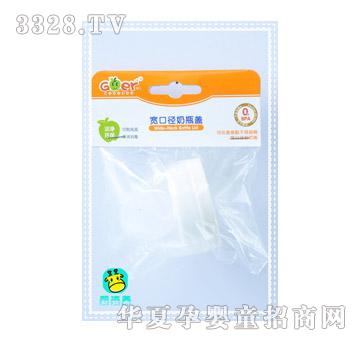 ���������ڏ���ƿ�wZ0024