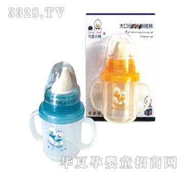 �ɐ�С����ڏ����LӖ����G-2003