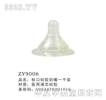 �˿ڹ��z����һ���bZY9006
