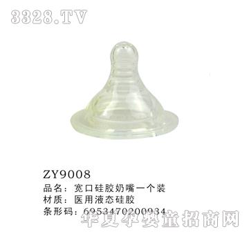���ڹ��z����һ���bZY9008