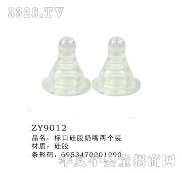 �˿ڹ��z����һ���bZY9012