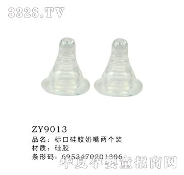 �˿ڹ��z����һ���bZY9013