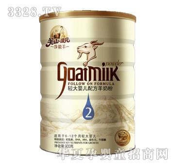 ���������b�^��냺�䷽���̷ۣ�900g�ޣ�