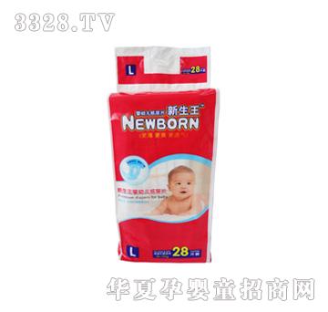 ������ֹ��Ƭ(PE��)S