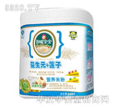 �L�ǌ�������Ԫ+ɏ�ӠI�B�׷�