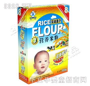 �s��p�����ӠI�B�׷�300g