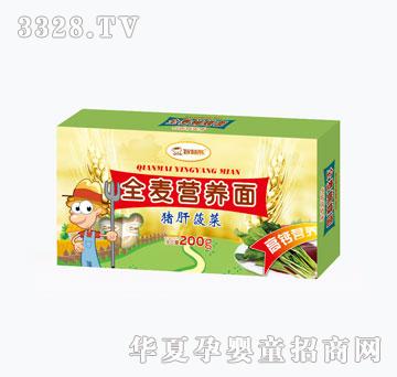�ǻ���ȫ���I�B���i���߲�