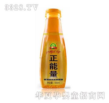 �A����������͸ˬ����500ML