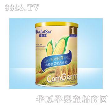 ���R��ɽ���ѿ�I�B�׷�460g