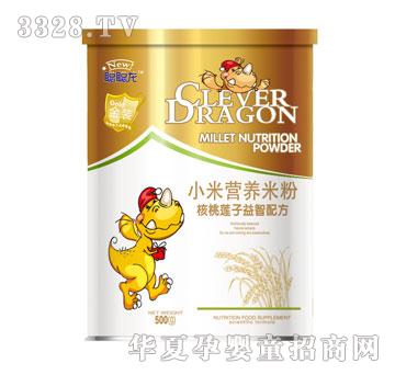 ������ɏ�������䷽С�נI�B�׷�500g