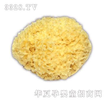 ��������Ȼ��d�����к���