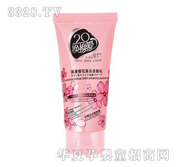 20�Q�Q�������ѻ����ױ�������