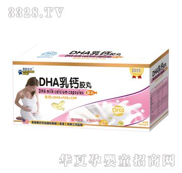 ����ؐ40���Юa�DDHA���}�z�裨2С��X20����