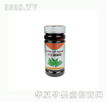 ���o����100��������֬