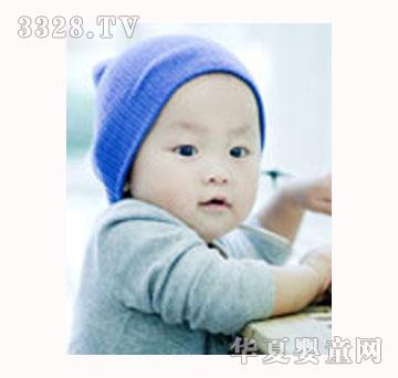 �n��SeoulBabys�ɐ۹��Ɍ�����