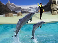 ��һ���������溣���^Ҳ�ǲ��e���x��