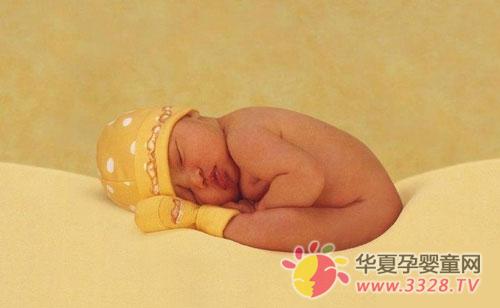 �ﶬ���������냺��������