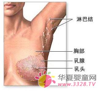 �鷿�����[�K��̎������