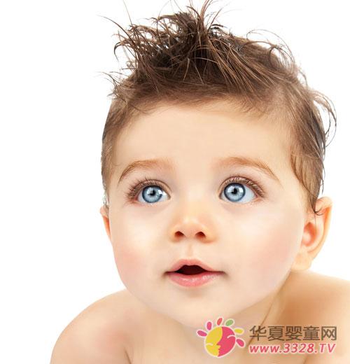 �X�c���