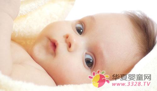 �t���Д������������Ę˜�