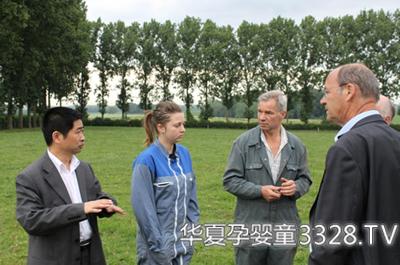 �R���棺���{���̤����