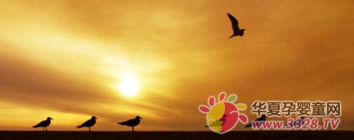 �Ǹ��ľ�Ʒ�ƺ�e���l��һ�w�_��