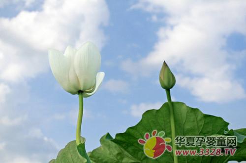 ���Dľ�R�������ʽ�Ĕz�����о��ӡ��ɻ�