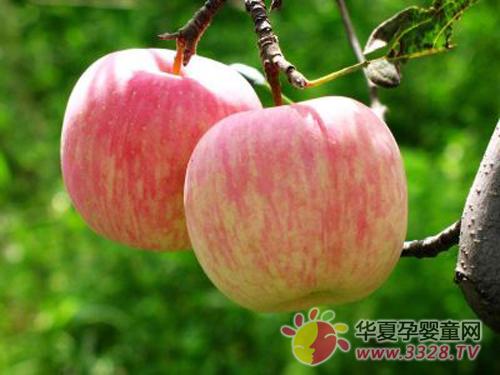 �ЋD�����ù�֭����{��